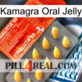 Kamagra Oral Jelly new01